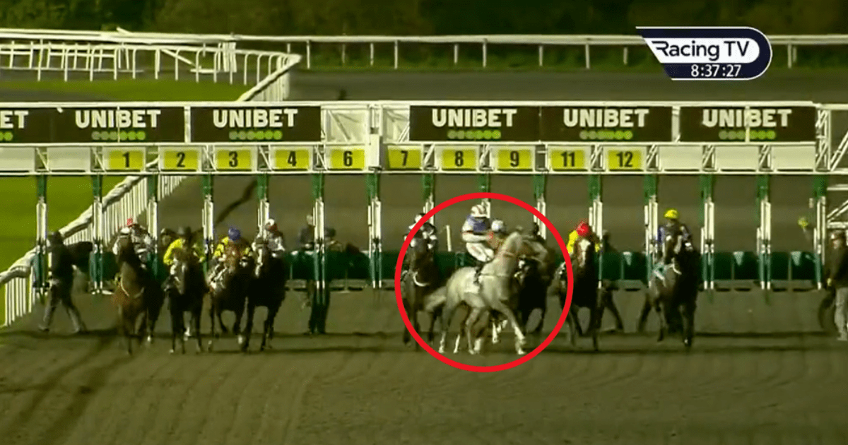 , ‘Utter madness’ – fury over controversial Kempton race as horse ’causes carnage’ but result still stands