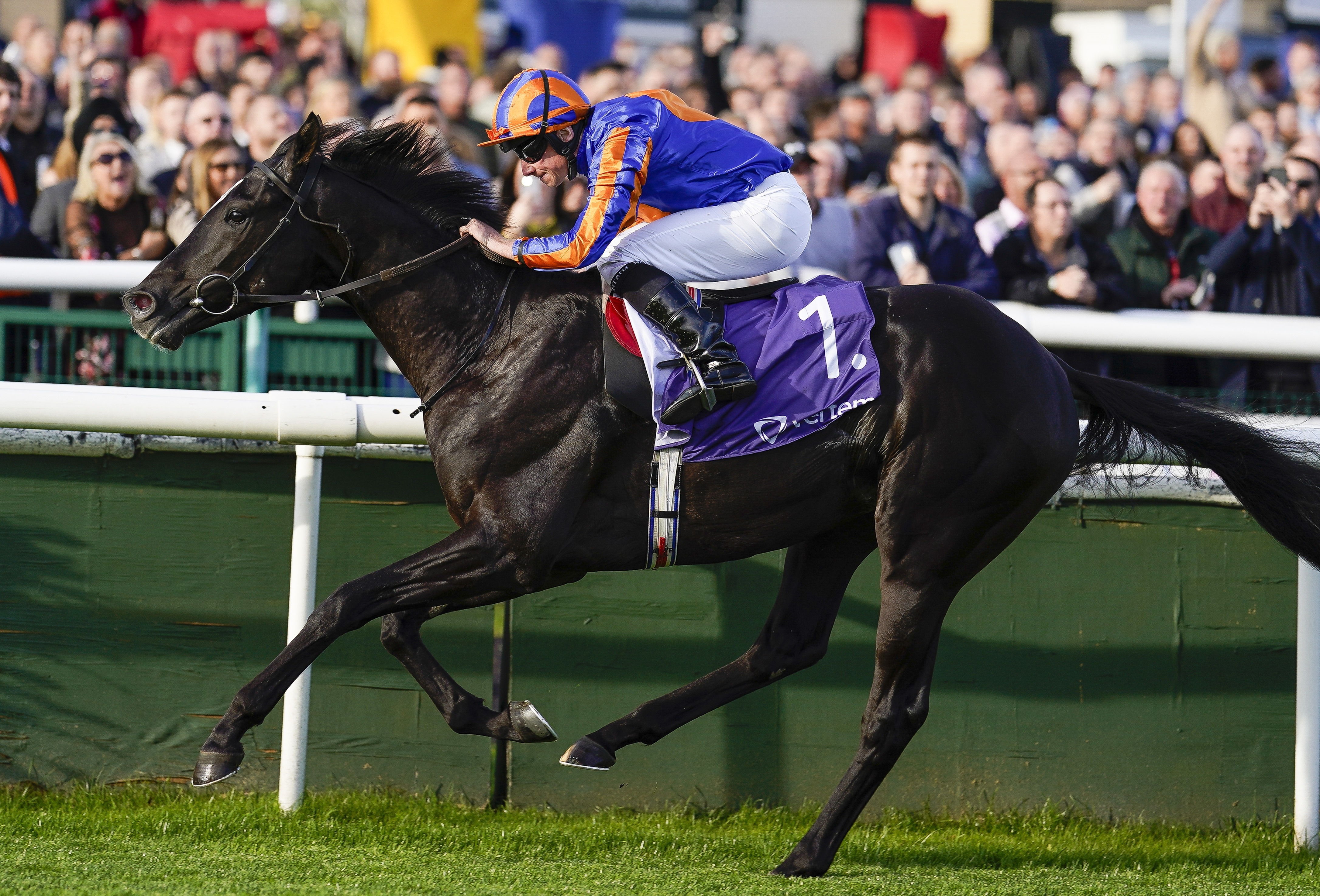 , Aidan O’Brien reveals who ‘most exciting horse we’ve EVER had’ is in current stable despite winning 41 British Classics