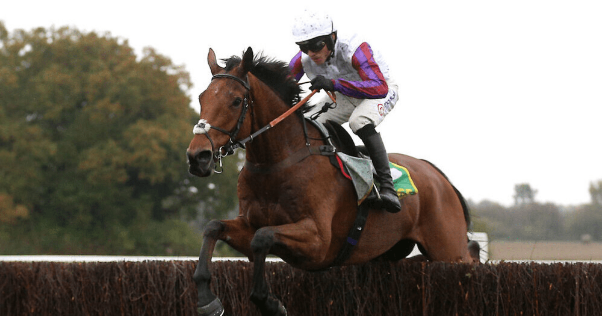 , Charlie Hall Chase: Brilliant Bravemansgame downs Ahoy Senor and now just 3-1 for the King George on Boxing Day