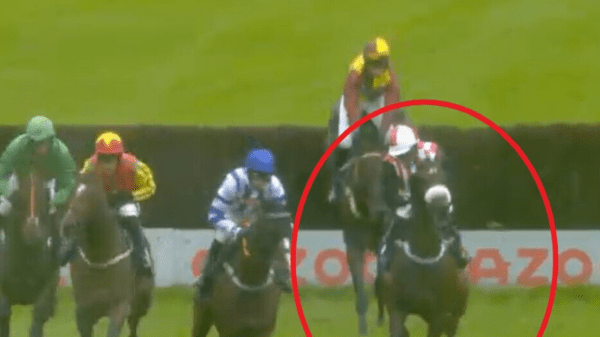 , Horrific moment jockey suffers stroke mid-race as Page Fuller, 27, opens up on traumatic experience