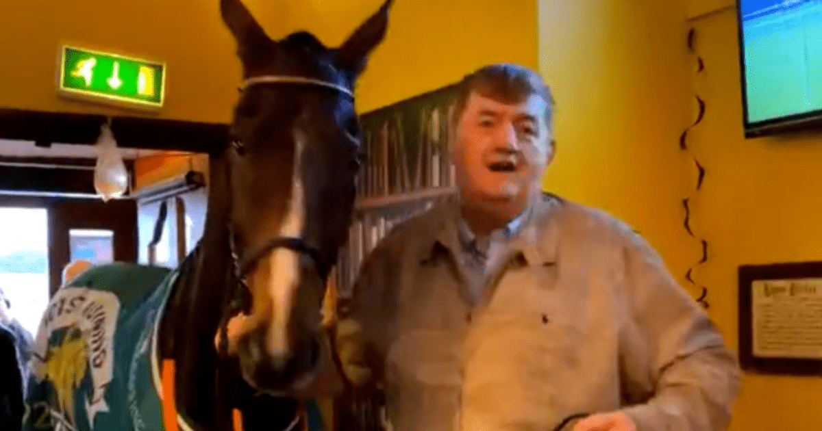 , A horse walks into a bar… watch incredible moment top racehorse Hewick goes for a pint at his local pub