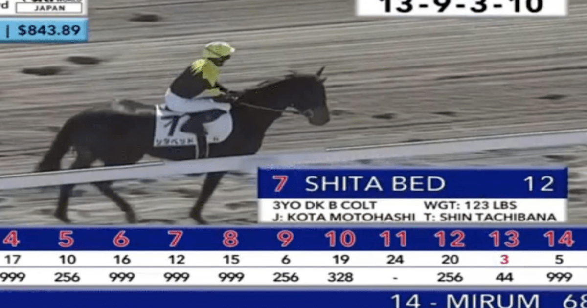 , Racehorse with VERY X-rated name has the last laugh after 150-1 win