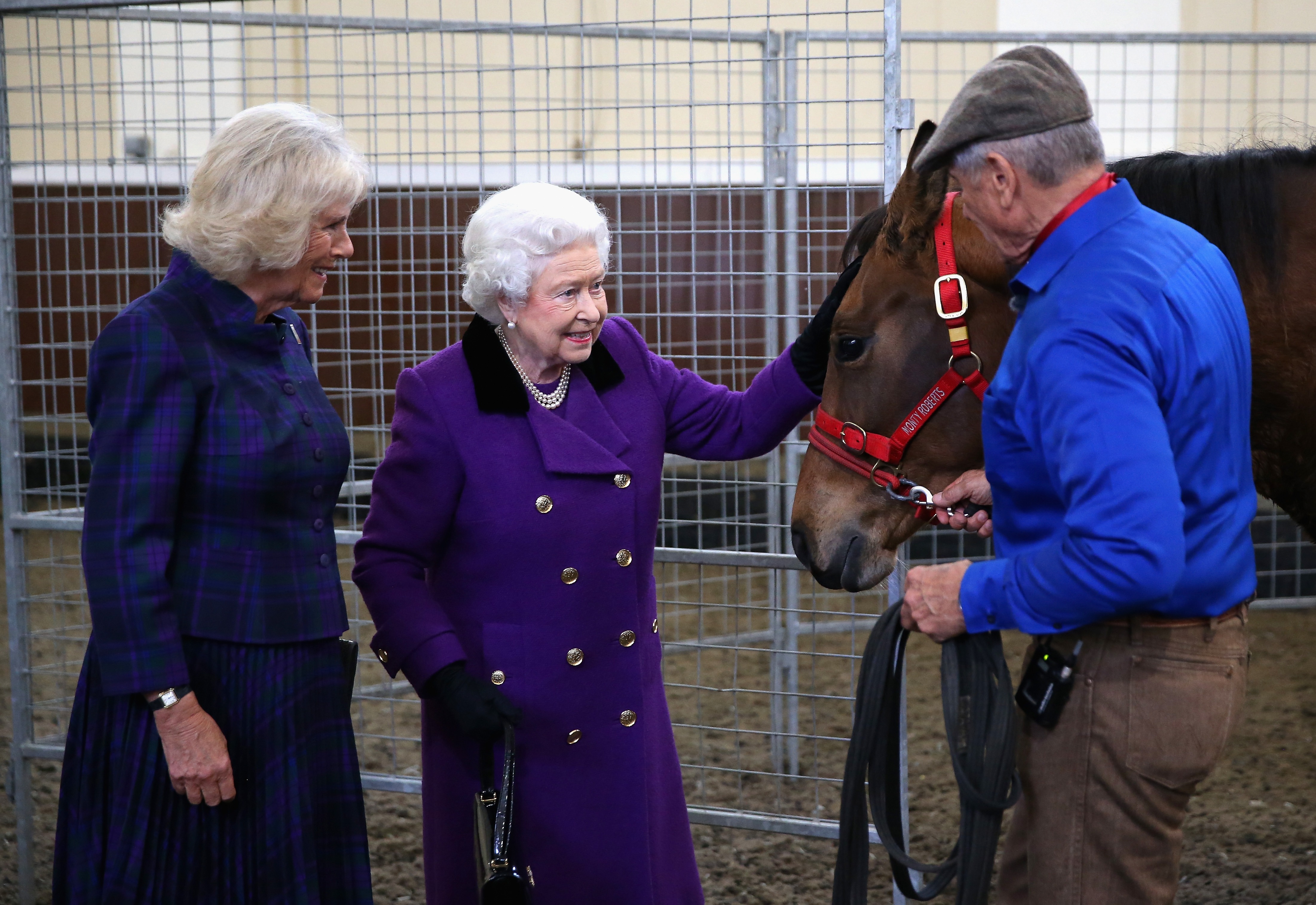 , King Charles pictured inspecting Queen’s racehorses before making £1m by selling 14 of them in Royal racing shake-up