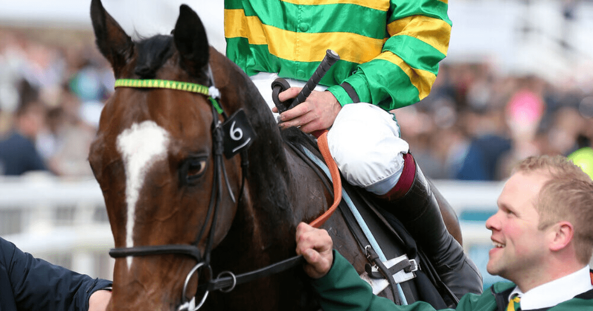 , Punters win big as Paddy Power pay out five MONTHS early on Cheltenham Festival bet