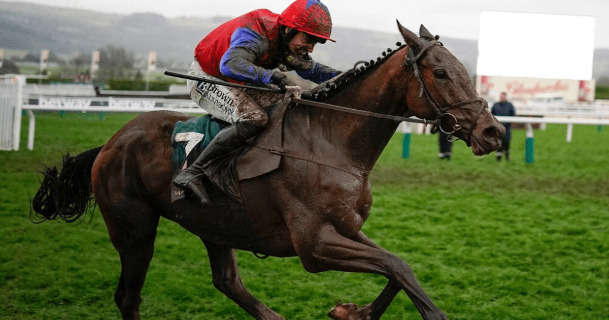 , Are these the Cheltenham Festival ante-post bankers? Five stars who look rock solid