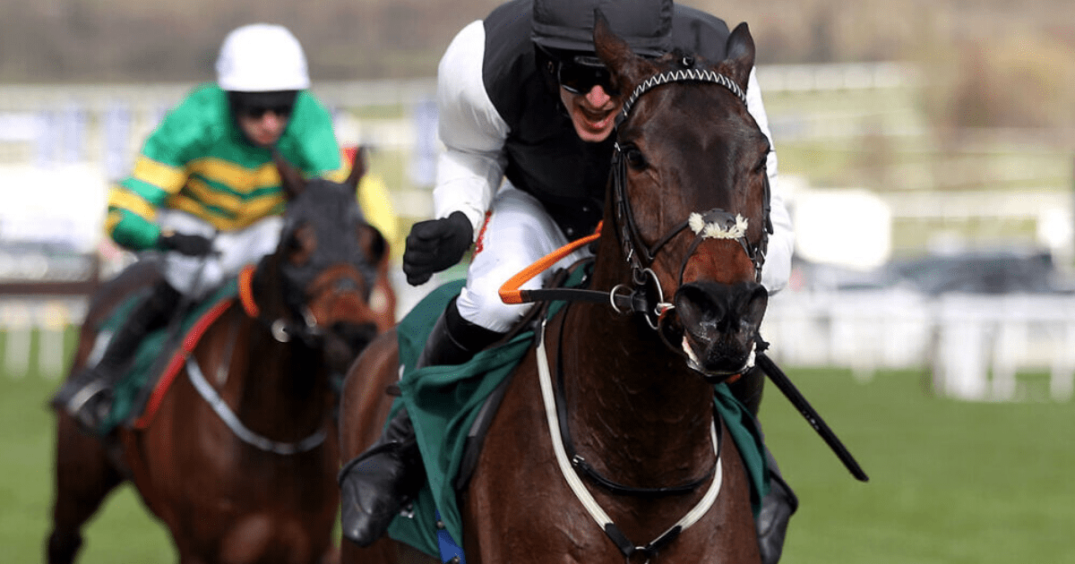 , The Cheltenham Festival stars lurking this weekend and why now is the time to back them