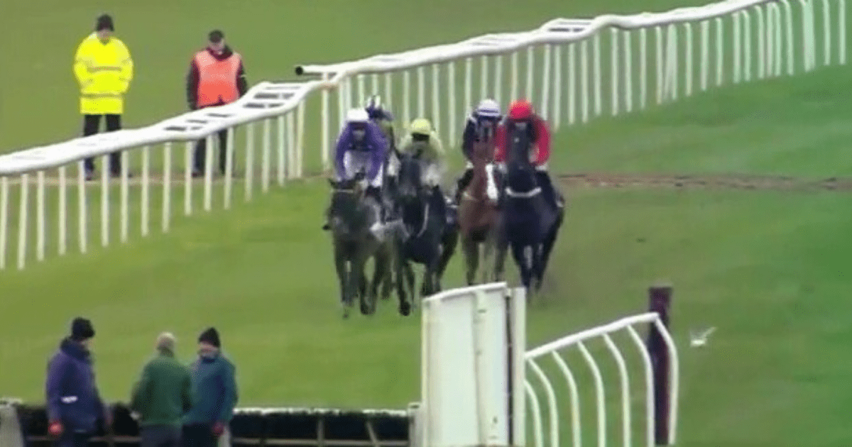 , Watch the ridiculous moment dozy groundsmen are almost RUN OVER at fence during horse race