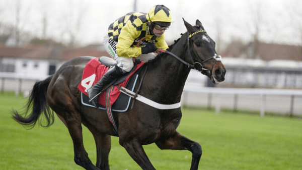 , ‘Ridiculous’ – Nicky Henderson threatens to pull Shishkin out of Betfair Tingle Creek due to going