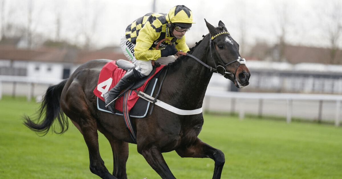 , ‘Ridiculous’ – Nicky Henderson threatens to pull Shishkin out of Betfair Tingle Creek due to going