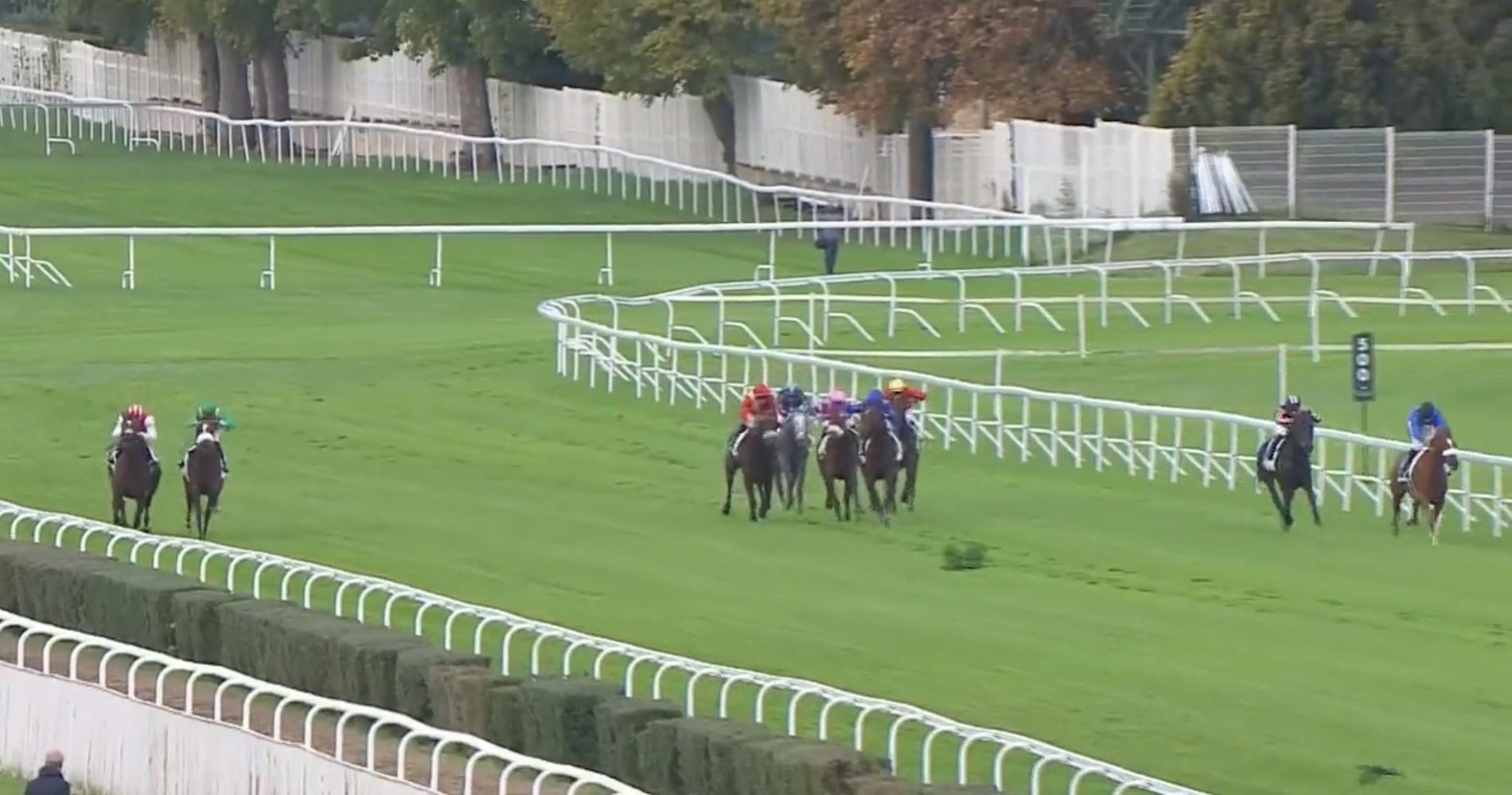 , Jockey ‘stitches up’ rivals with amazing ride even losing punters have to stop and applaud