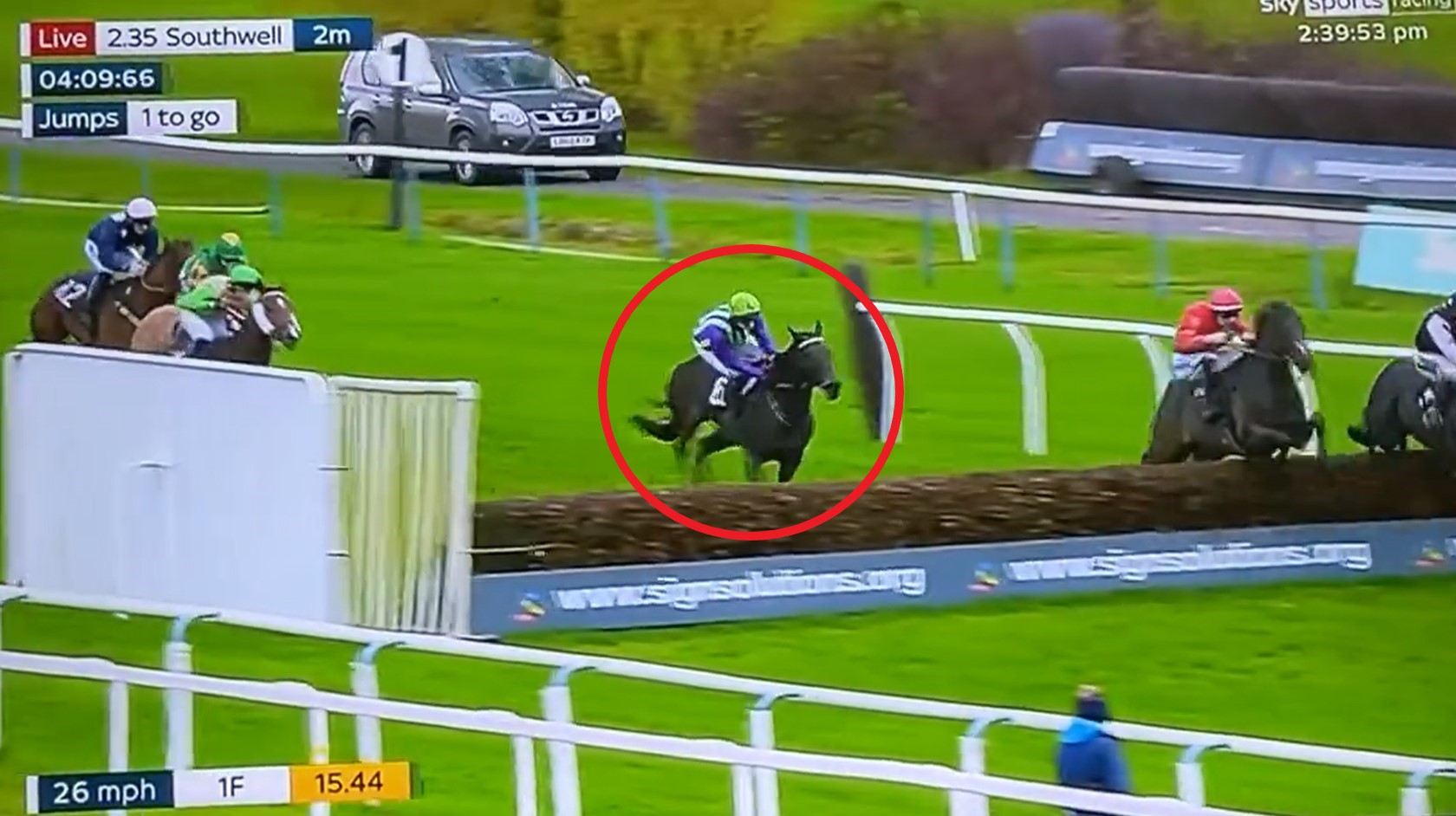, ‘What have I just seen?’ – watch jockey’s bizarre fall at the last that’s left punters absolutely baffled