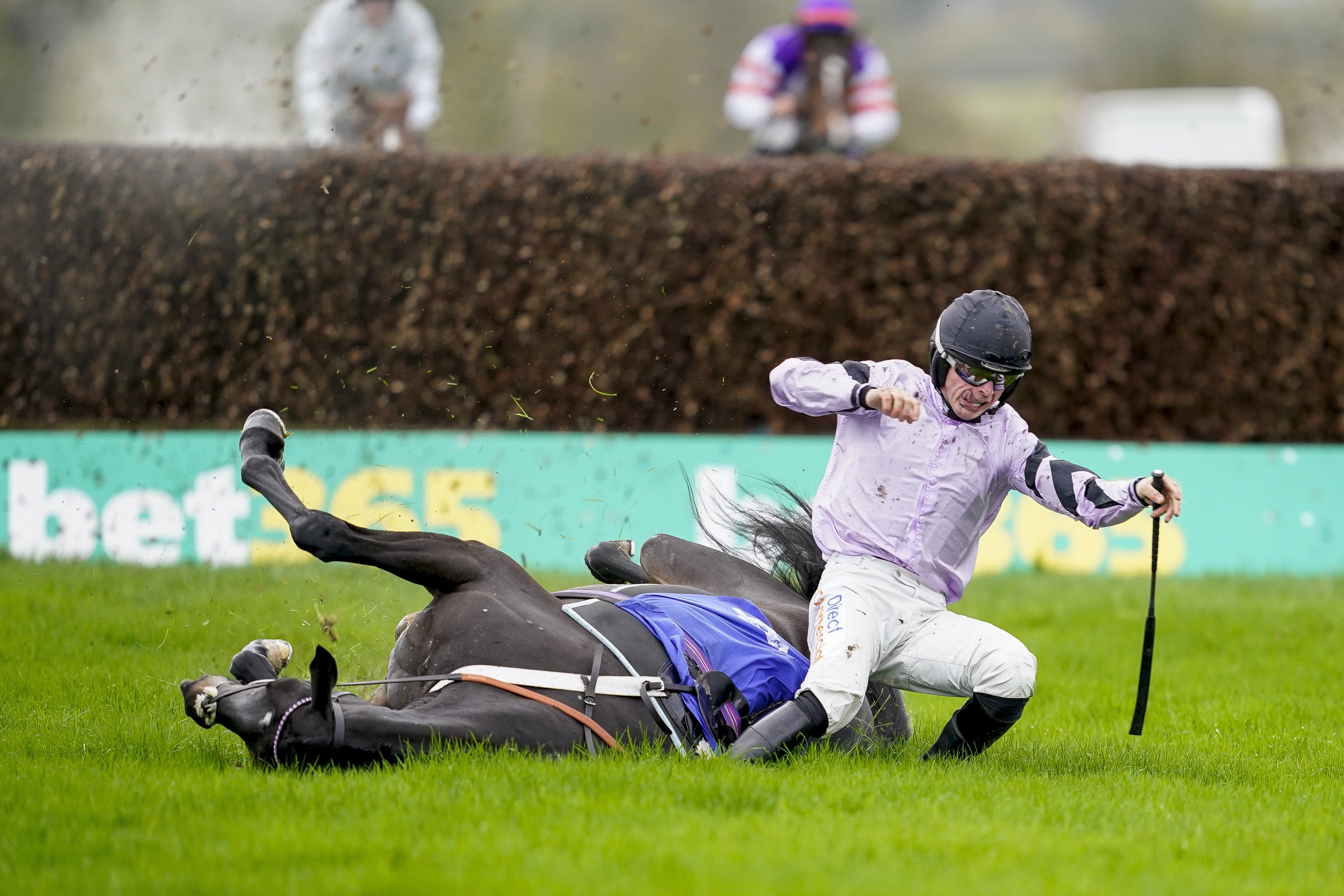 , Punters in a state of shock as certain winner throws away victory with final-fence disaster