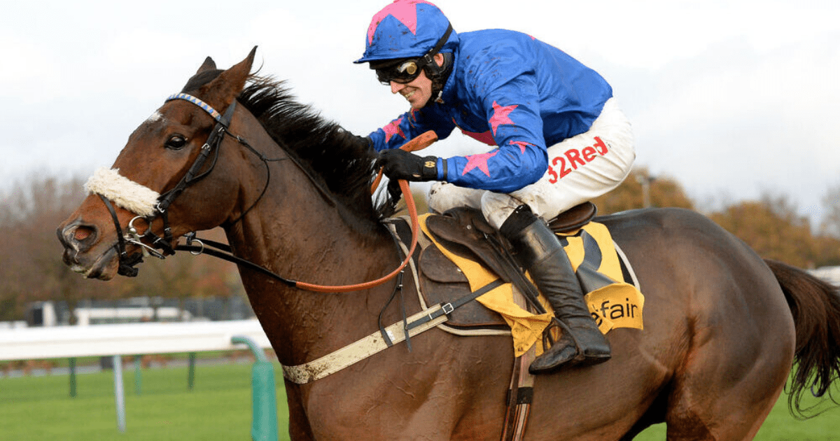 , ‘He was a legend of a horse’ – fan favourite and King George hero Cue Card dies aged 16