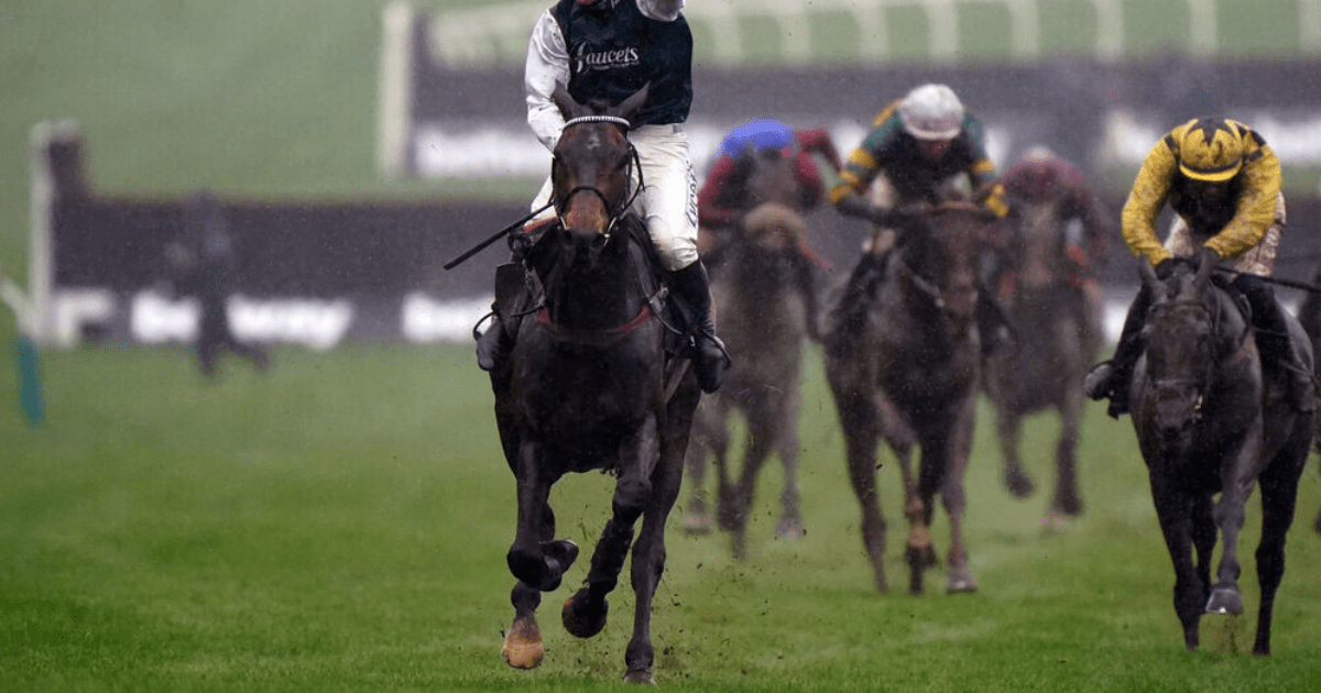 , King George VI Chase: Money comes for L’Homme Presse as Protektorat ruled out of Kempton on Boxing Day