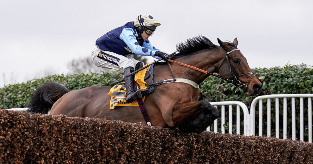 , Edwardstone cruises to Tingle Creek victory and now as short as 11-4 for the Champion Chase at Cheltenham