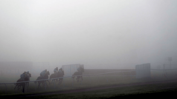 , ‘Disgraceful’ – punters slam ‘ridiculous’ Wincanton racing as fog means no one can see anything