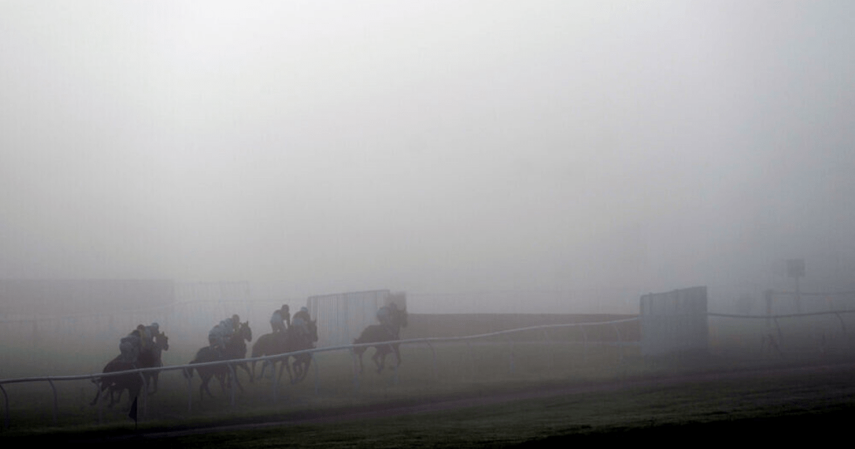 , ‘Disgraceful’ – punters slam ‘ridiculous’ Wincanton racing as fog means no one can see anything