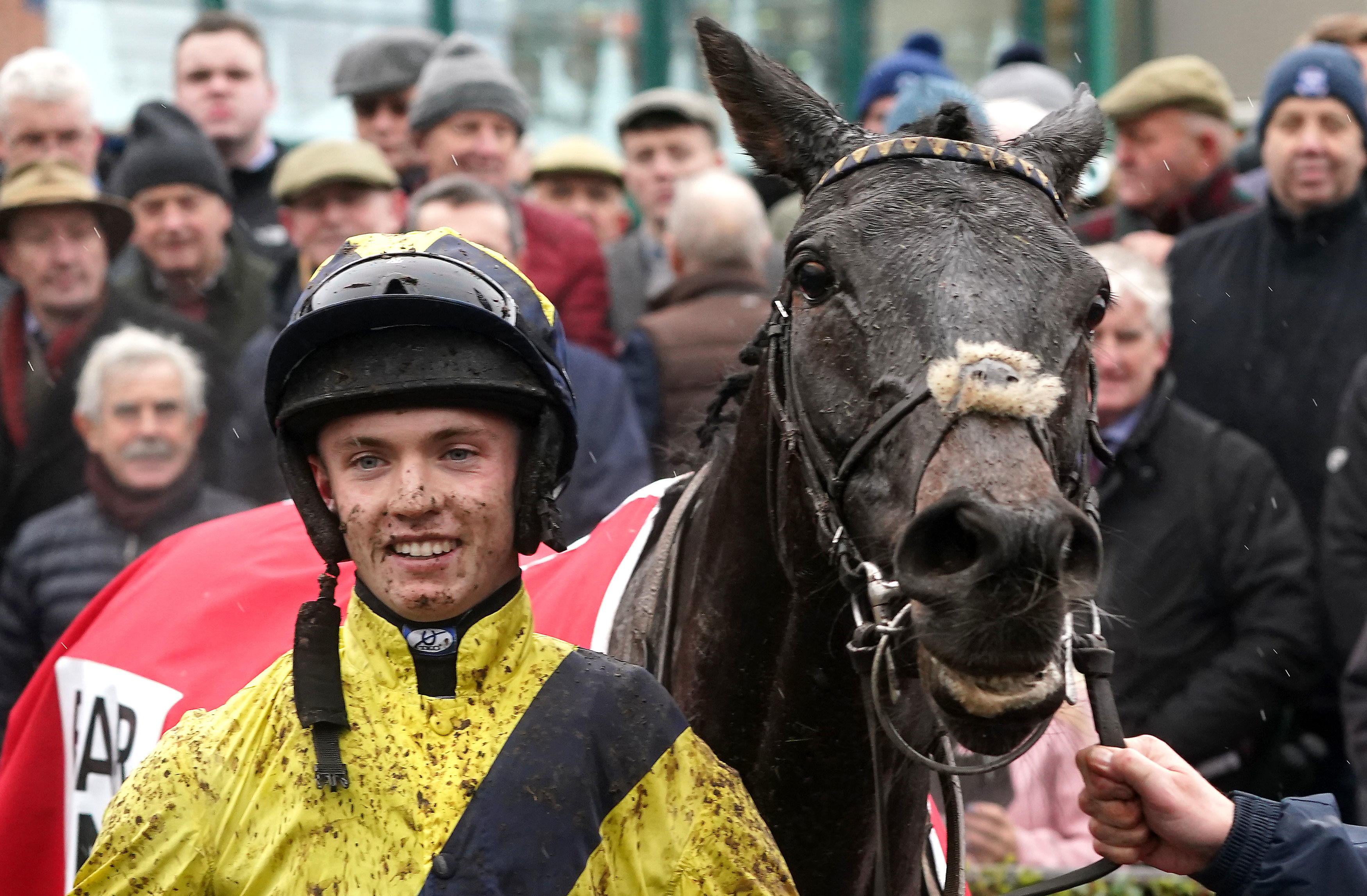 , Fans all say the same thing after watching jockey’s ‘obscene’ ride at Cork