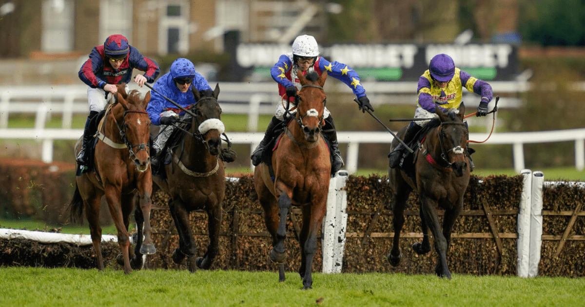 , ‘I’ll be disappointed if he isn’t in the first four’ – Nicholls team eye Supreme at Cheltenham with exciting Tahmuras