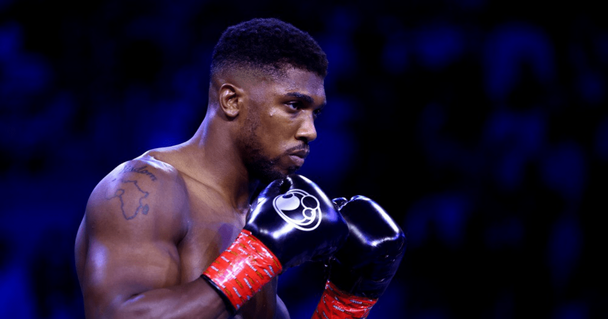 , Anthony Joshua urged to ‘go in for the Deontay Wilder fight’ by boxing legend Hatton as former champ rebuilds career