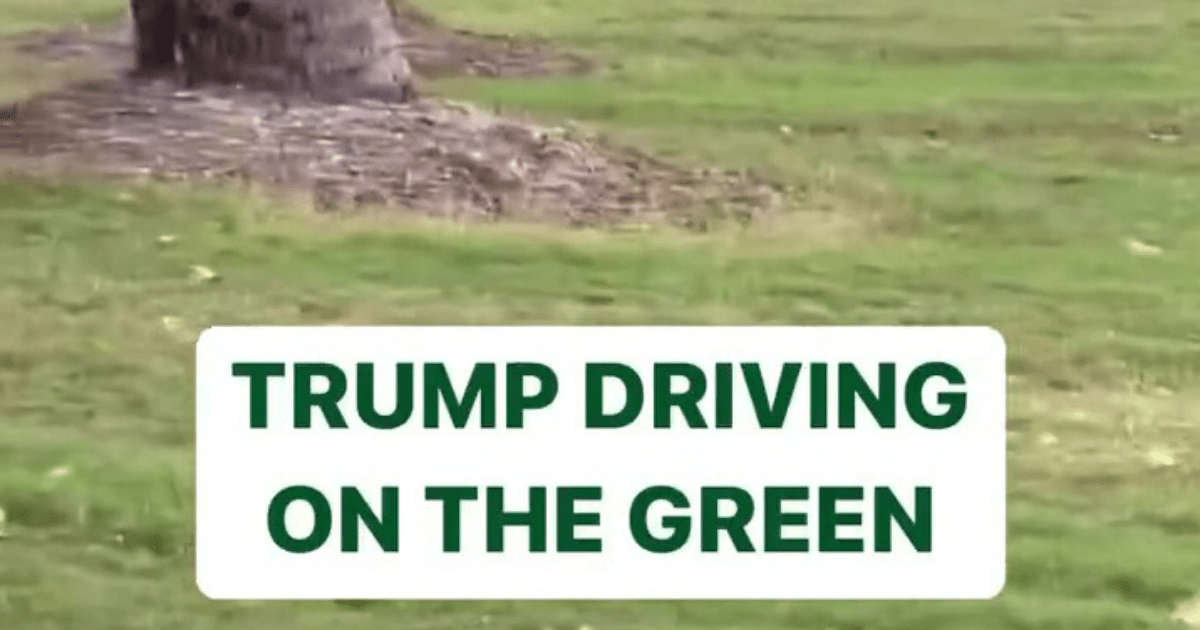 , ‘When you own the course you do what you want’ – Golf fans stunned as Donald Trump ‘drives buggy on the GREEN’