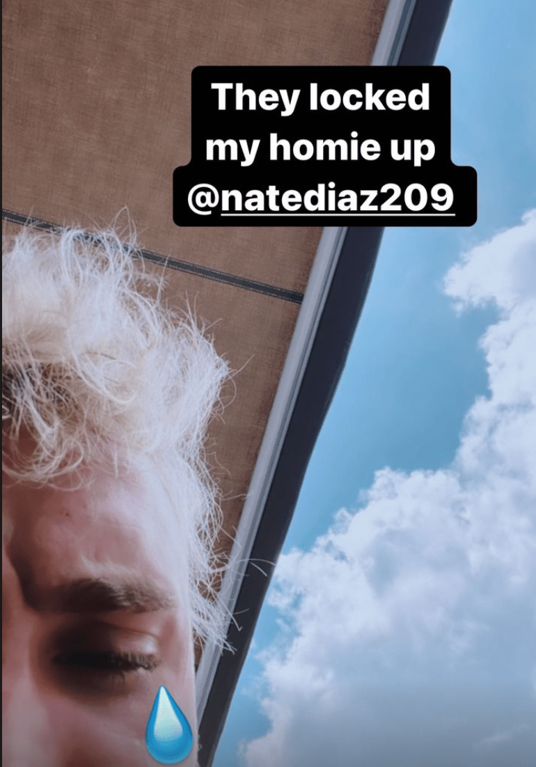 , Jake Paul calls for ‘homie’ Nate Diaz to be released from prison after brawl with Logan lookalike