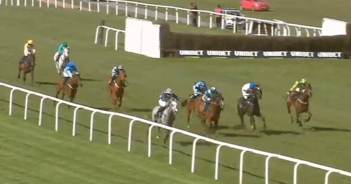 , Punters all say they’ve ‘never seen anything like it’ after witnessing 999-1 in-running horse
