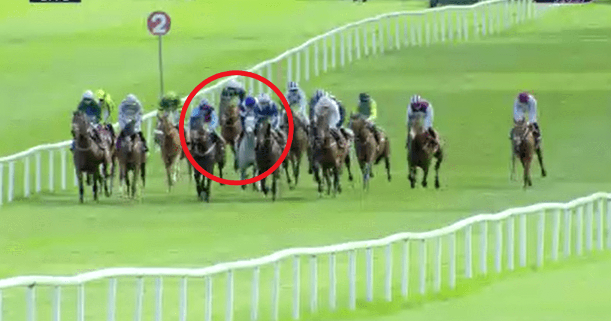 , Punters rage over ‘absolutely shocking’ ride that sees trainer fined and even the HORSE banned in farcical scenes