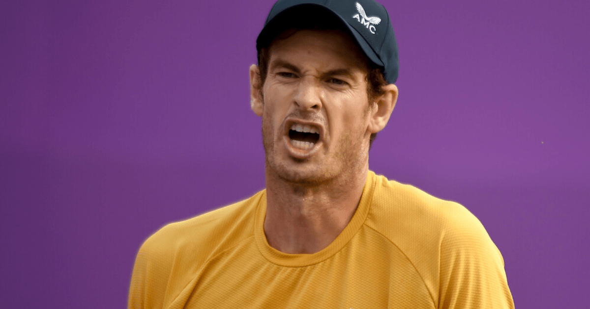 , Andy Murray’s family fume as Brit hero is LEFT OUT of Wimbledon’s painting of 15 champions past and present