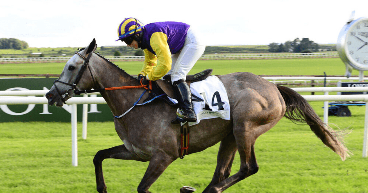 , Princess Zoe – the stunning grey at centre of huge owner-trainer row – aimed at August return