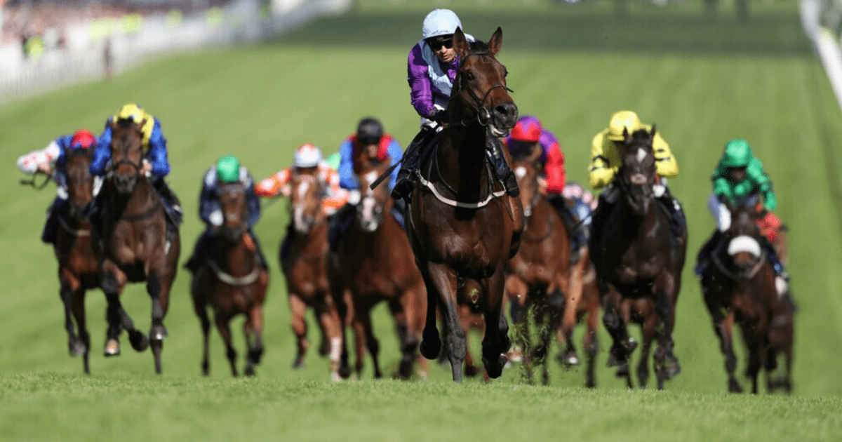 , 3.20 Epsom Dash result – Who won the Epsom “Dash” Handicap? How every horse finished