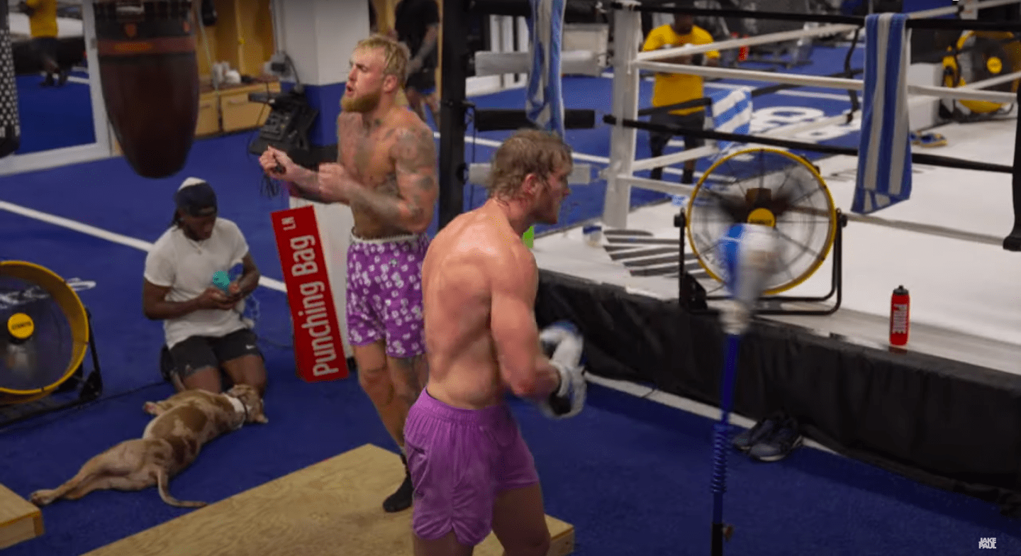 , Inside Jake and Logan Paul’s $4m two-story warehouse gym in Puerto Rico with boxing ring, weights and recovery zones