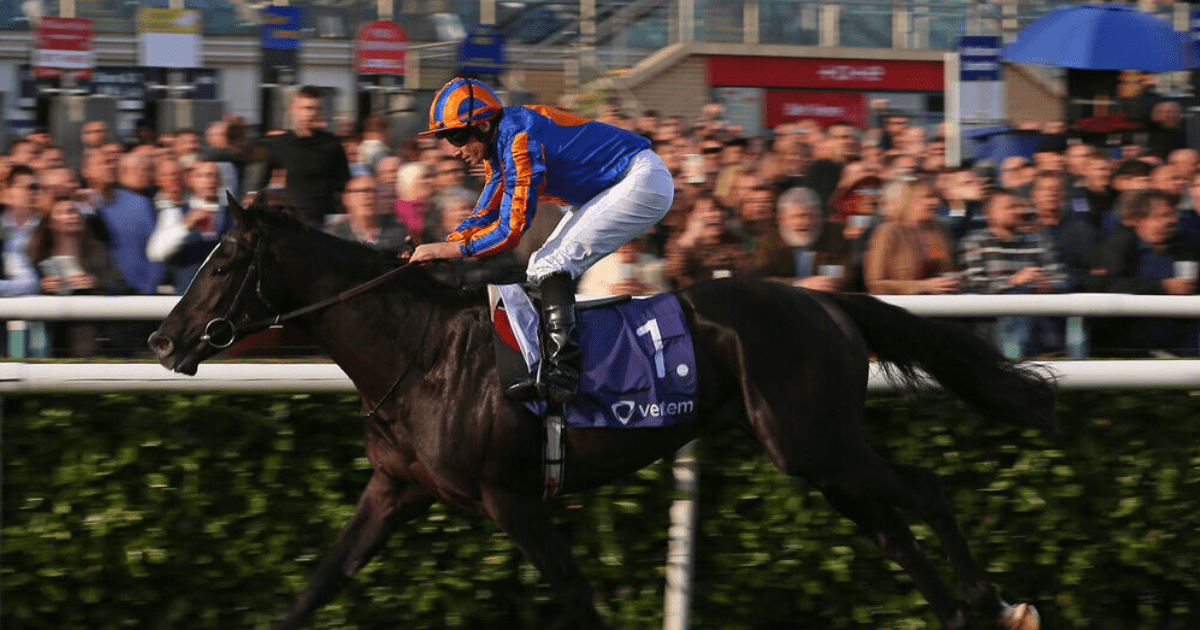 , Punters think Epsom Derby favourite is a shoo-in after huge slice of luck in televised draw