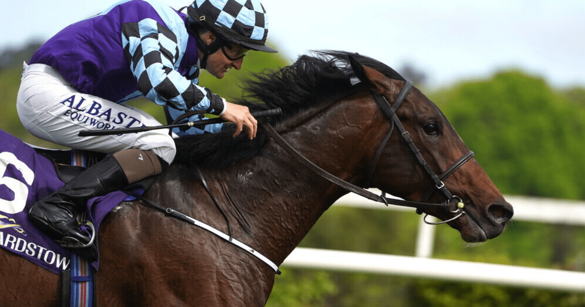 , Epsom Derby 2023 runner-by-runner guide, Templegate’s tip and 1-2-3 prediction for £1.5million feature
