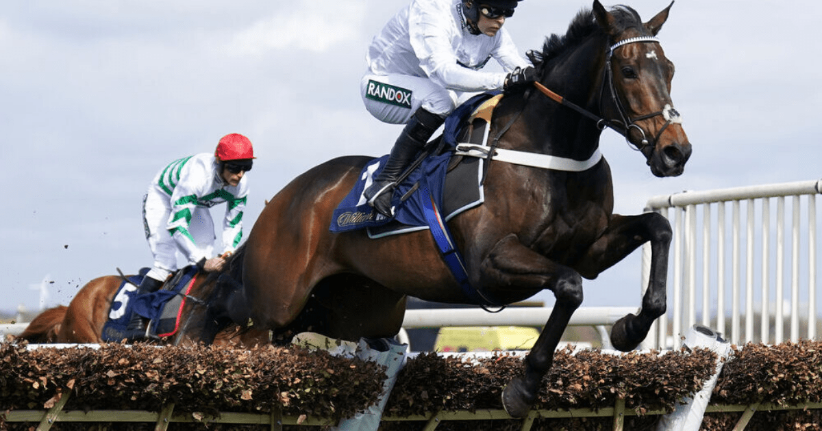 , Nicky Henderson Reveals Decision to Keep Constitution Hill over Hurdles
