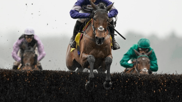 , Superstar chaser Cyrname dead aged 11 as devastated punters remember heroic horse who ended Altior&#8217;s record streak