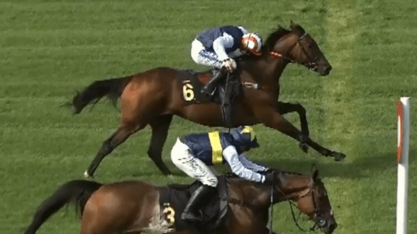 , Harry Redknapp Embroiled in Photo-Finish Controversy at Warwick Races