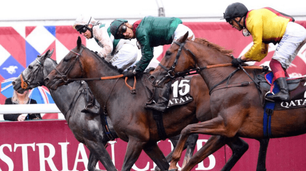 , Prix de l’Arc de Triomphe horse numbers 2023 – full list of runners for huge Paris showpiece