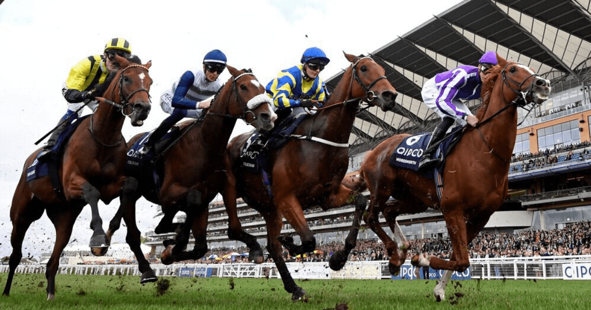 , Ascot Champions Day at Risk of Being Called Off Due to Rain