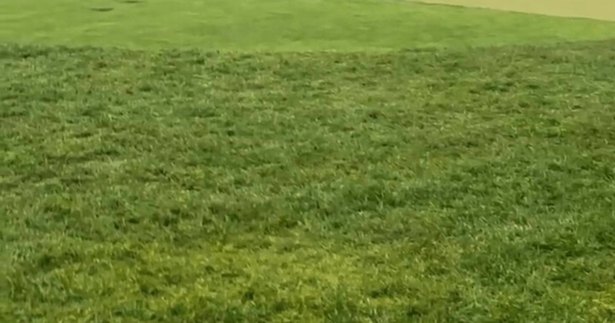 , 11-Year-Old Golf Prodigy Makes Hole-in-One in Front of Tiger Woods