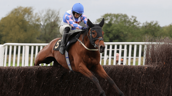 , Small-time Stable Takes on the Big Boys at Newbury