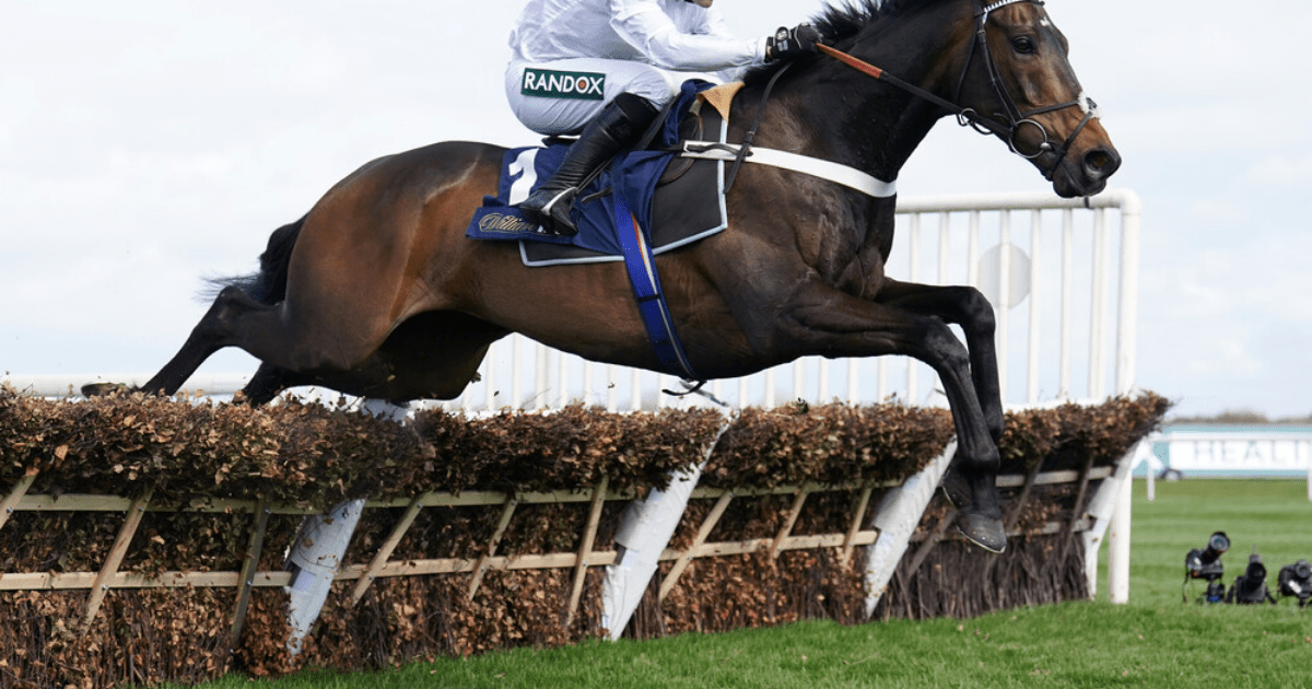 , Nicky Henderson and Michael Buckley criticized for using &#8216;welfare&#8217; as an excuse to withdraw Constitution Hill