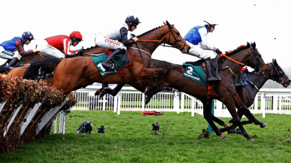 , Cheltenham Festival 2024: Everything You Need to Know!
