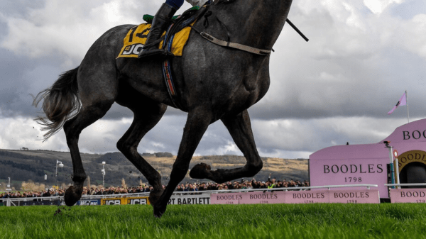 , AP McCoy Tips Lossiemouth as the One to Watch at Cheltenham
