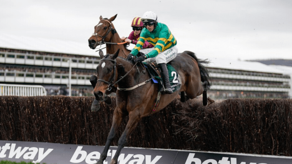 , Cheltenham Festival 2021 Day Two: Style Wednesday Recap and Results