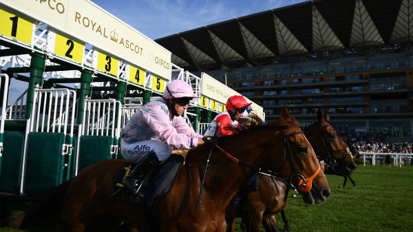 , Horse Racing to Implement Major Rule Change Amid Outrage Over False Starts