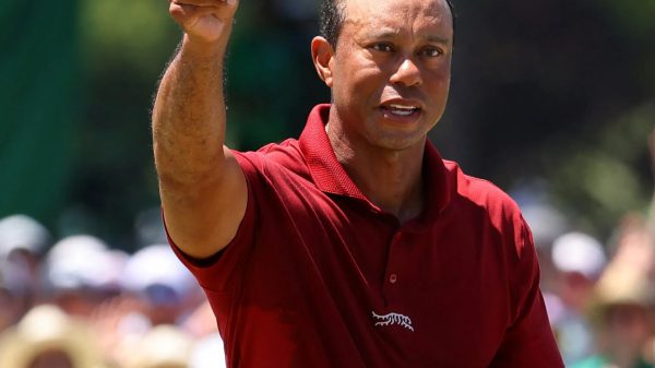, Tiger Woods in the Running for Early Ryder Cup Captaincy