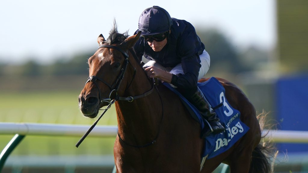 , City Of Troy Gears Up for 2000 Guineas Amid Tough Week Ahead